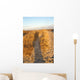 Panoramic over Dunes Evening Wall Decal