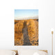 Panoramic over Dunes Evening Wall Decal