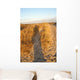 Panoramic over Dunes Evening Wall Decal
