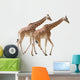 Two Giraffes Walking Wall Decal