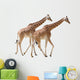 Two Giraffes Walking Wall Decal