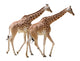 Two Giraffes Walking Wall Decal
