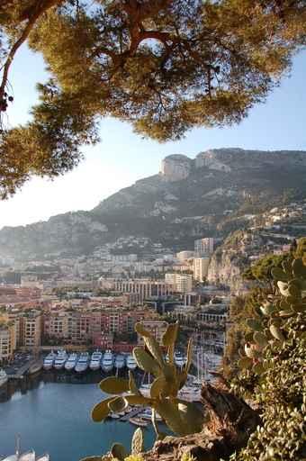 Monaco Wall Decal