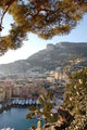 Monaco Wall Decal