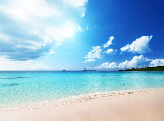 Anse Lazio Beach Praslin Wall Decal