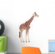 Giraffe Giraffa Camelopardalis Wall Decal