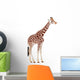 Giraffe Giraffa Camelopardalis Wall Decal