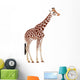 Giraffe Giraffa Camelopardalis Wall Decal