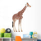 Giraffe Giraffa Camelopardalis Wall Decal