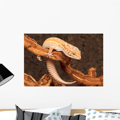 Gecko Wall Decal shown on a wall