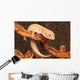 Gecko Wall Decal