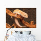 Gecko Wall Decal