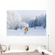 Skiing Wall Decal