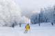 Skiing Wall Decal