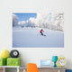 Ski Slope Wall Decal