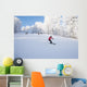Ski Slope Wall Decal