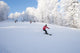 Ski Slope Wall Decal