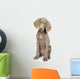 Full Length Photo Young Wall Decal