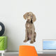 Full Length Photo Young Wall Decal