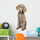 Full Length Photo Young Wall Decal