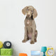 Full Length Photo Young Wall Decal