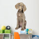 Full Length Photo Young Wall Decal
