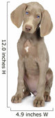 Full Length Photo Young Wall Decal