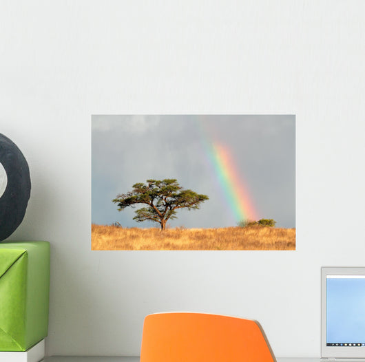 Rainbow Landscape Kalahari Desert Wall Decal