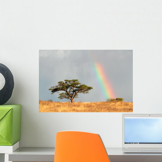 Rainbow Landscape Kalahari Desert Wall Decal