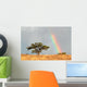 Rainbow Landscape Kalahari Desert Wall Decal