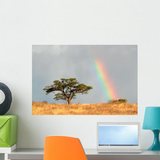 Rainbow Landscape Kalahari Desert Wall Decal