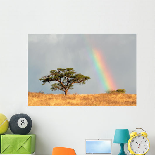 Rainbow Landscape Kalahari Desert Wall Decal