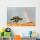Rainbow Landscape Kalahari Desert Wall Decal