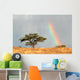 Rainbow Landscape Kalahari Desert Wall Decal