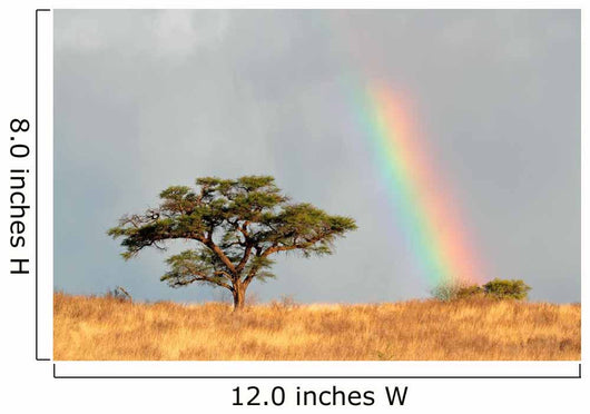 Rainbow Landscape Kalahari Desert Wall Decal