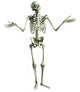 3D Cartoon Skeleton Wall Decal