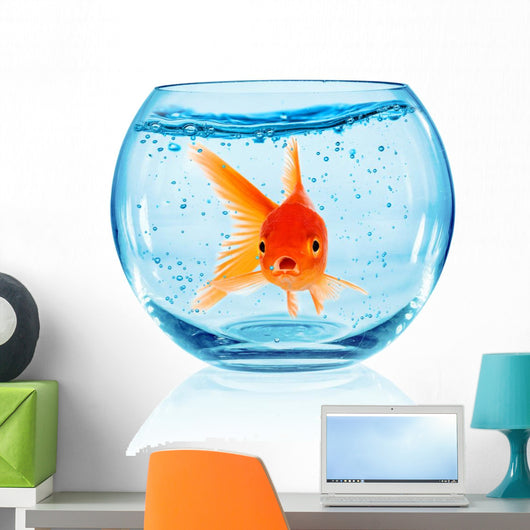 Goldfish Aquarium Wall Decal Design 2
