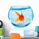 Goldfish Aquarium Wall Decal Design 2