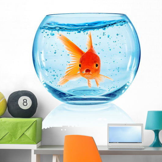 Goldfish Aquarium Wall Decal Design 2