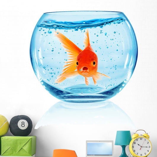Goldfish Aquarium Wall Decal Design 2