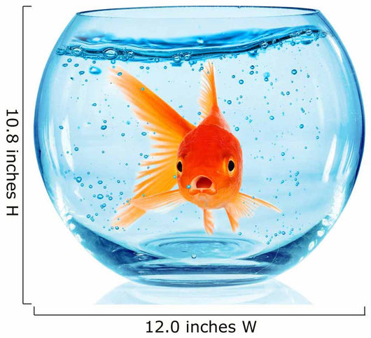 Goldfish Aquarium Wall Decal Design 2