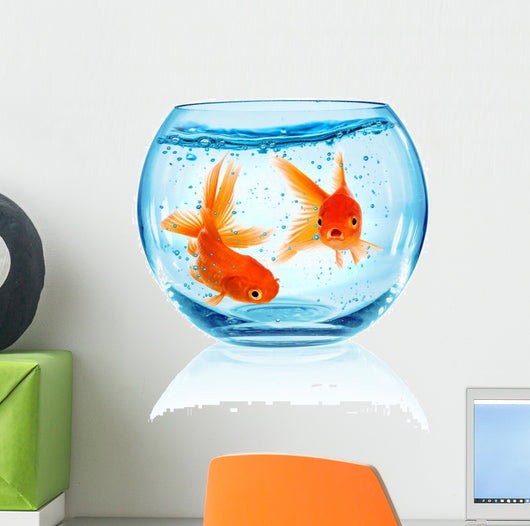 Goldfish Aquarium Wall Decal Design 1