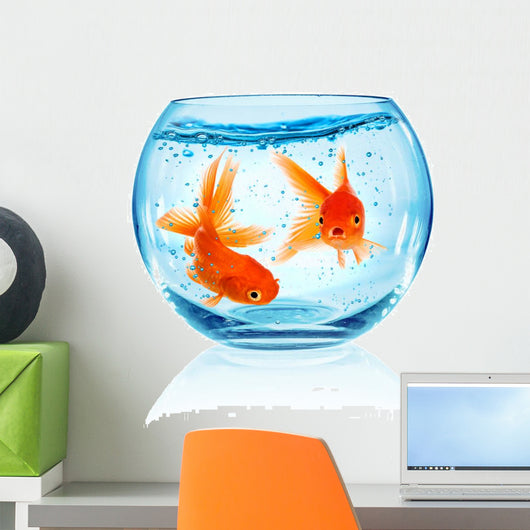 Goldfish Aquarium Wall Decal Design 1