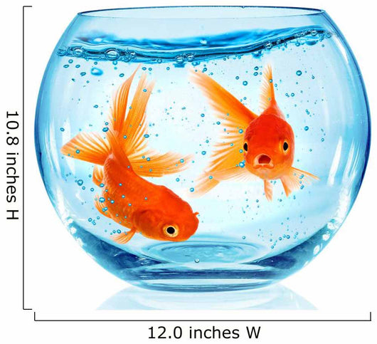 Goldfish Aquarium Wall Decal Design 1