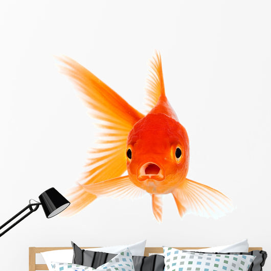 Goldfish Wall Decal Design 2