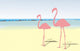 Flamingos Beach Wall Decal