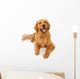 Golden Retriever Dog Wall Decal