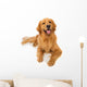 Golden Retriever Dog Wall Decal