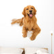 Golden Retriever Dog Wall Decal