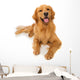 Golden Retriever Dog Wall Decal
